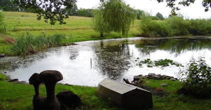 Søen ved gården er fuld af liv