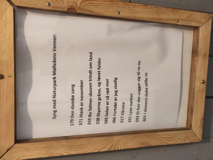 koncert musik barresøgaard