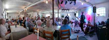 Billeder er fra en aftenkoncert med J. Tex & the Volunteers
