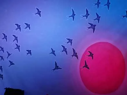 koncert musik barresøgaard